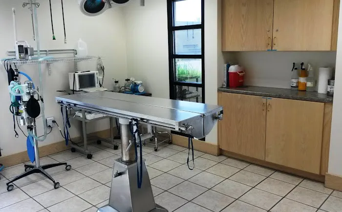 VCA Jordan River Animal Hospital 3