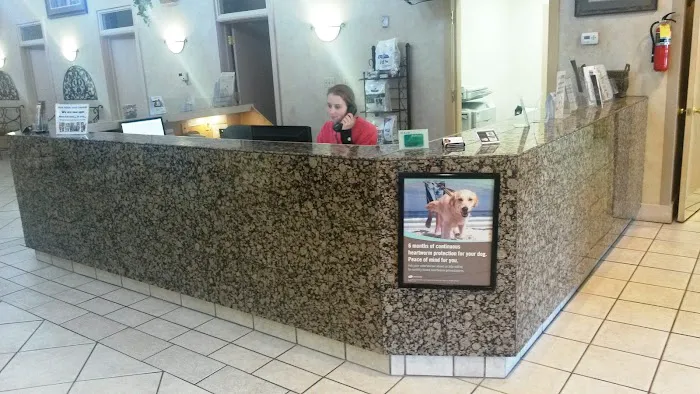 VCA Jordan River Animal Hospital 10