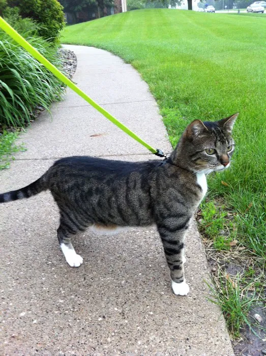 Summit Veterinary Urgent Care 8