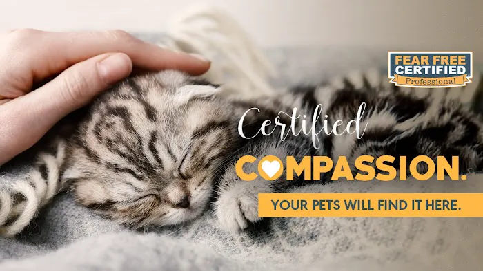 Summit Veterinary Urgent Care 1