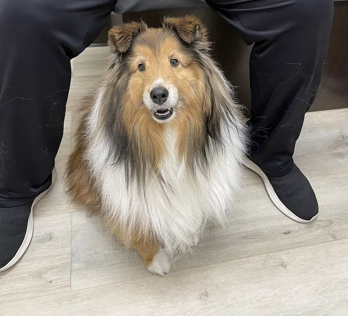 Summit Veterinary Urgent Care 3