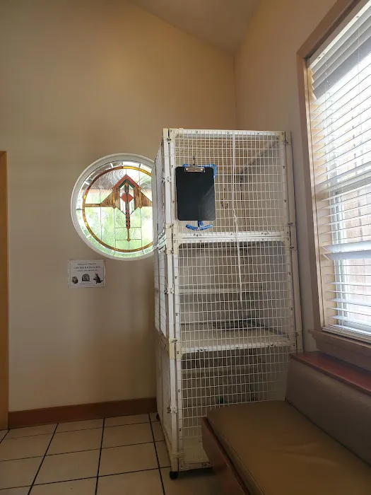 VCA Mountain View Animal Hospital 2