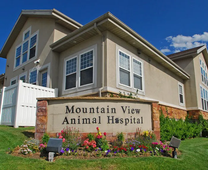 VCA Mountain View Animal Hospital 3