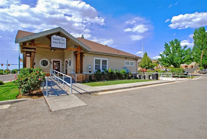 VCA Mountain View Animal Hospital 7