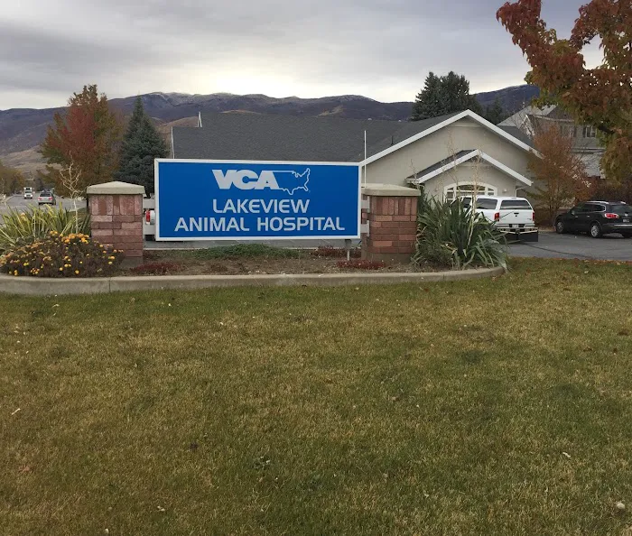 VCA Lakeview Animal Hospital 12