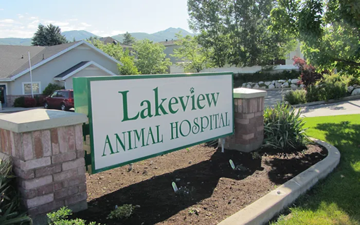VCA Lakeview Animal Hospital 12