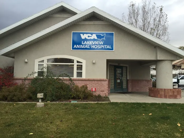 VCA Lakeview Animal Hospital 12