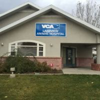 VCA Lakeview Animal Hospital ico