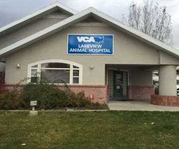 VCA Lakeview Animal Hospital