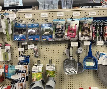 Cindi's Pet & Aquarium Center
