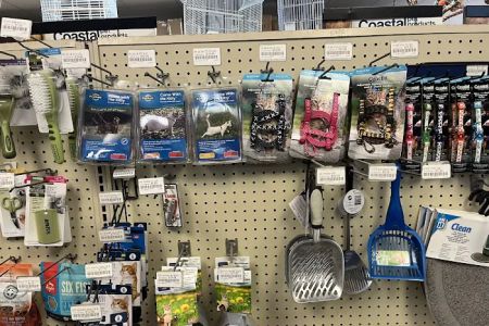 Cindi's Pet & Aquarium Center