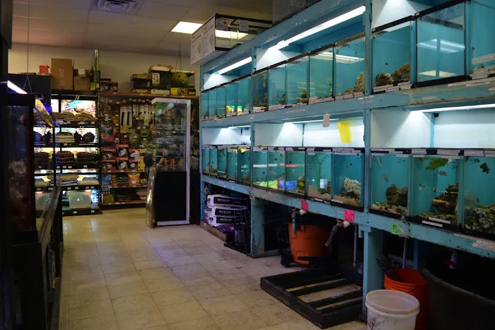 Cindi's Pet & Aquarium Center 12