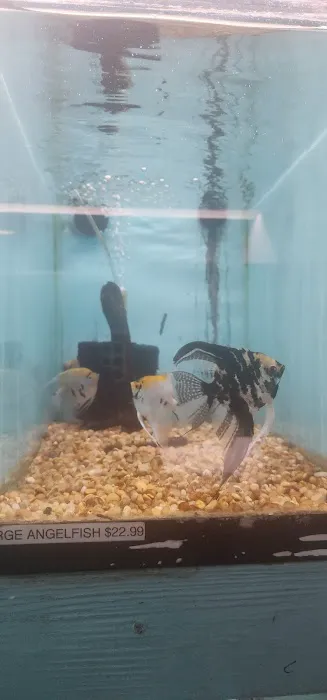 Cindi's Pet & Aquarium Center 12