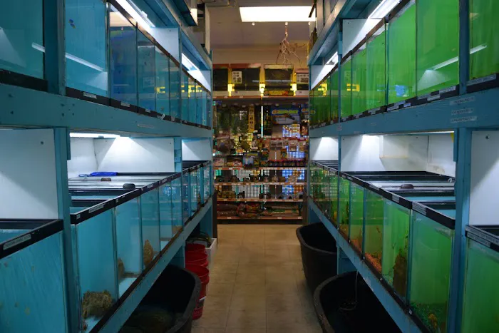 Cindi's Pet & Aquarium Center 12