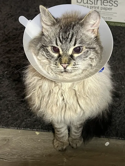 Bountiful Animal Hospital 5