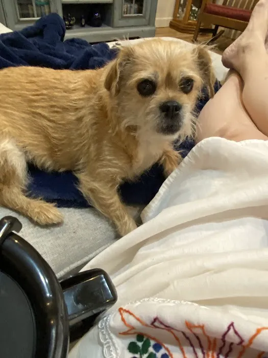 Bountiful Animal Hospital 7