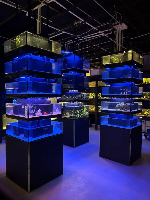 Vero Beach Aquarium at Paradise Pet 12