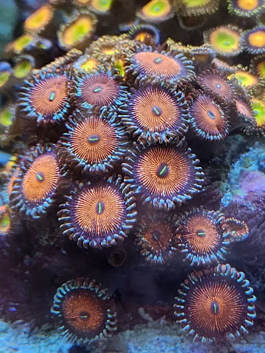 Vero Beach Aquarium at Paradise Pet 12