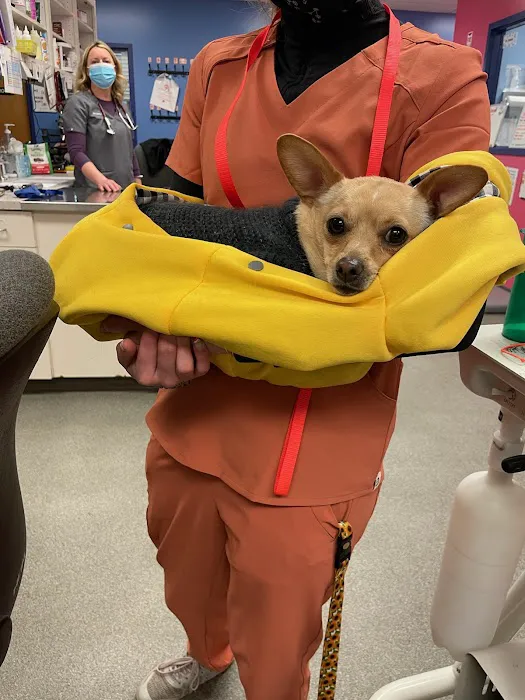 Animal Care Center, A Thrive Pet Healthcare Partner 10