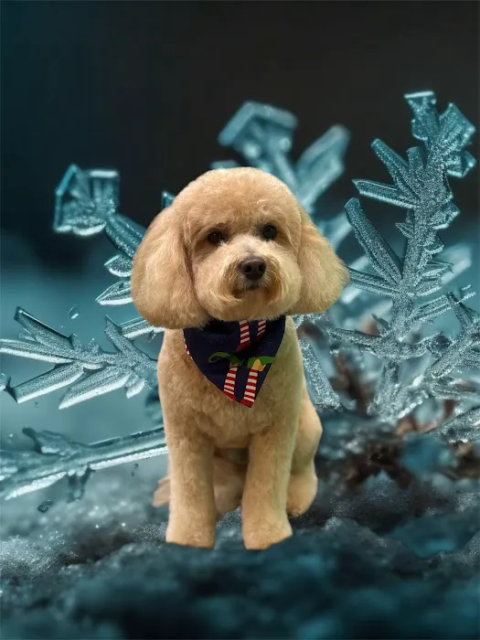 Paradise Pet 12