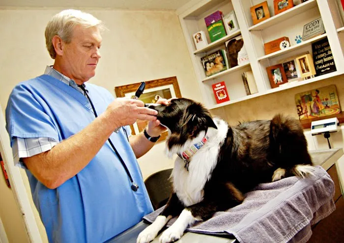 Animal Medical Clinic, A Thrive Pet Healthcare Partner 1