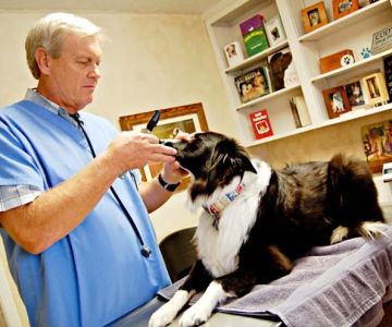 Animal Medical Clinic, A Thrive Pet Healthcare Partner