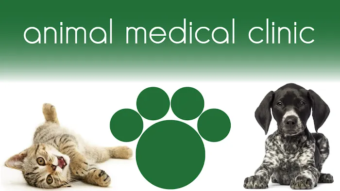 Animal Medical Clinic, A Thrive Pet Healthcare Partner 9
