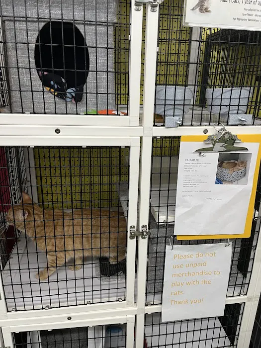 Pet Supermarket 7