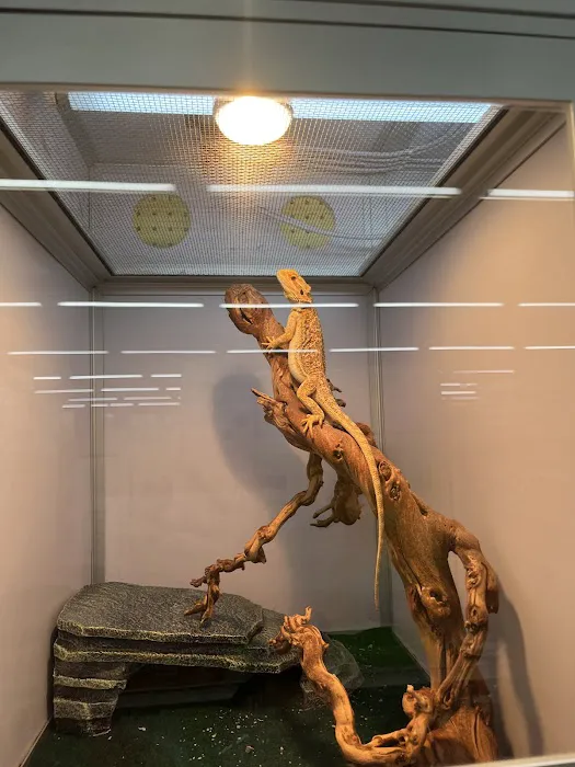 Pet Supermarket 1