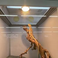 Pet Supermarket ico