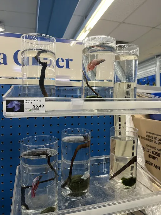 Pet Supermarket 2