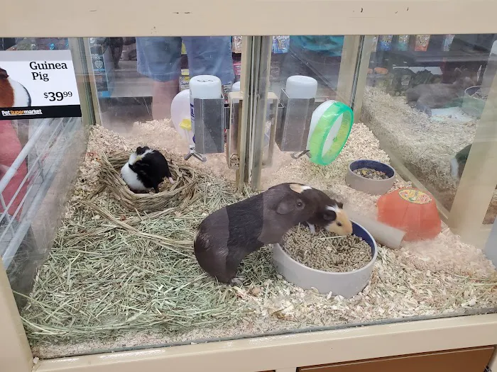 Pet Supermarket 5