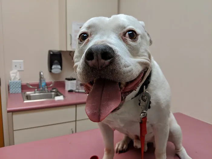Parrish Creek Veterinary Hospital & Diagnostic Center 6