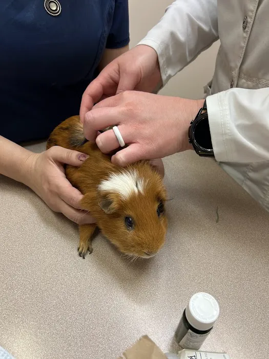 Parrish Creek Veterinary Hospital & Diagnostic Center 7