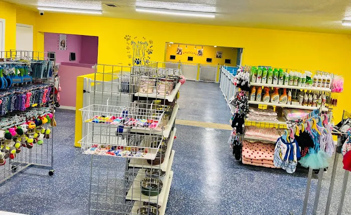 Puppy Boutique of Lake Hamilton 4