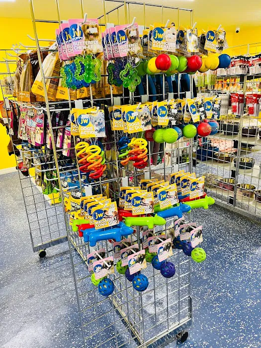 Puppy Boutique of Lake Hamilton 10