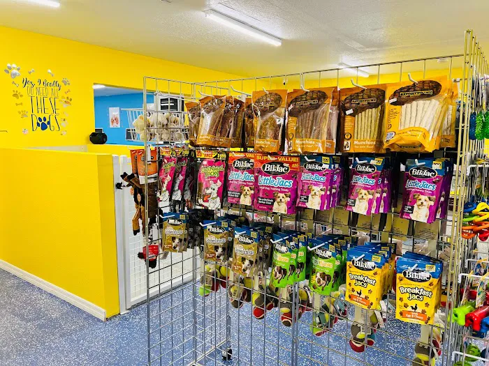Puppy Boutique of Lake Hamilton 5