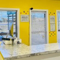 Puppy Boutique of Lake Hamilton ico