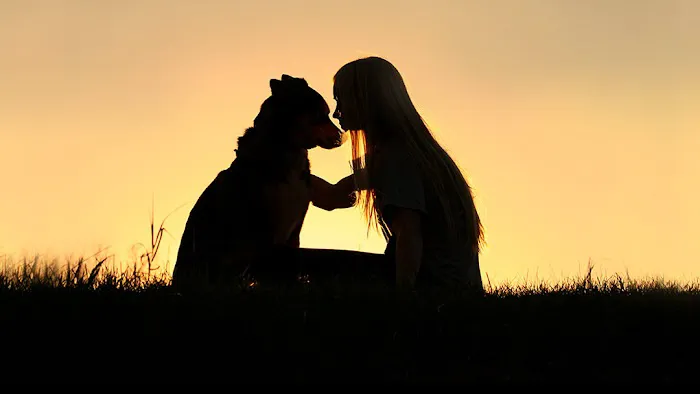 A Gentle Vet 10