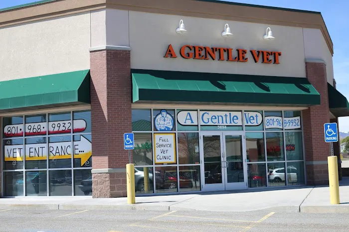 A Gentle Vet 9
