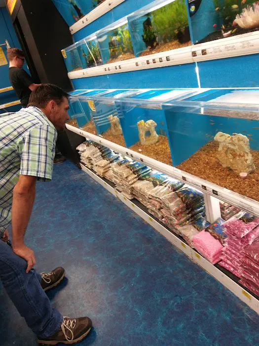 Pet Supermarket 8