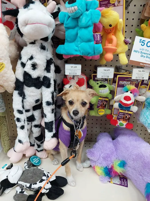 Pet Supermarket 1