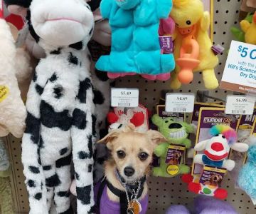 Pet Supermarket