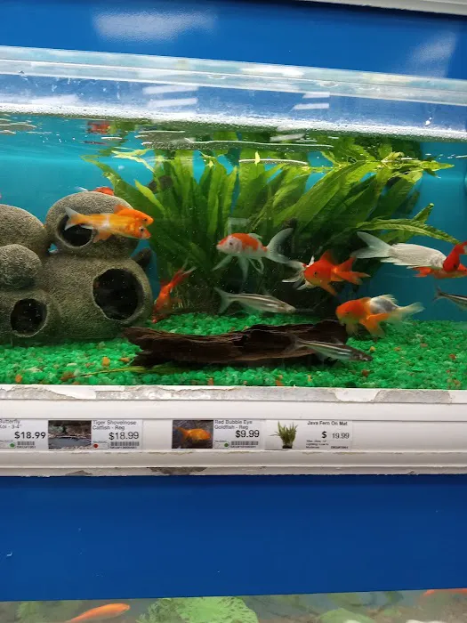 Pet Supermarket 2