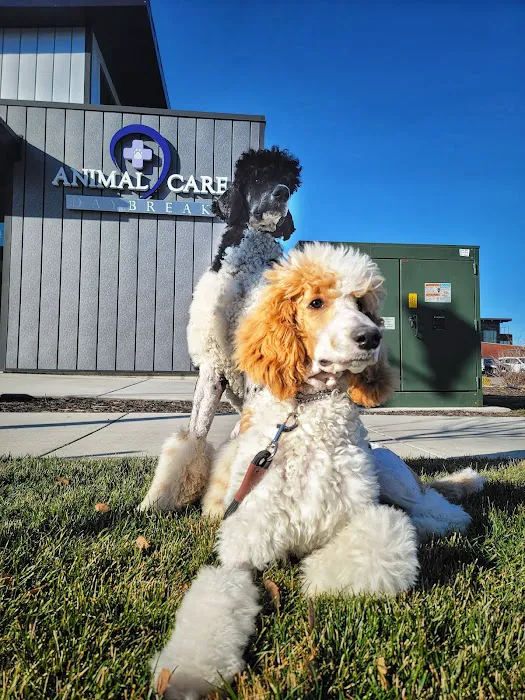 Animal Care Daybreak 2
