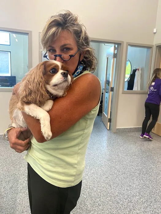 Animal Care Daybreak 7