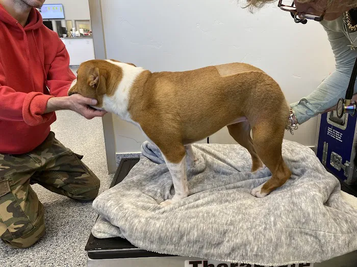 Animal Care Daybreak 6