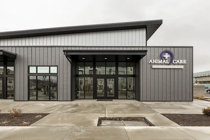 Animal Care Daybreak 4
