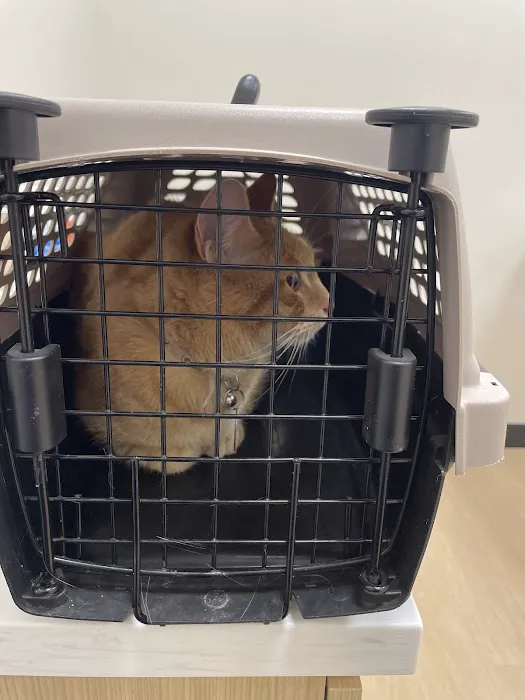Monarch Veterinary Hospital 8