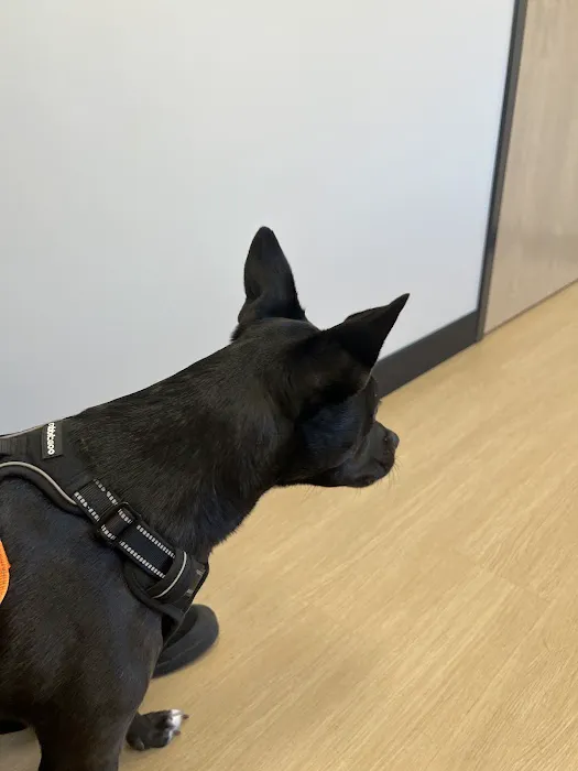Monarch Veterinary Hospital 6